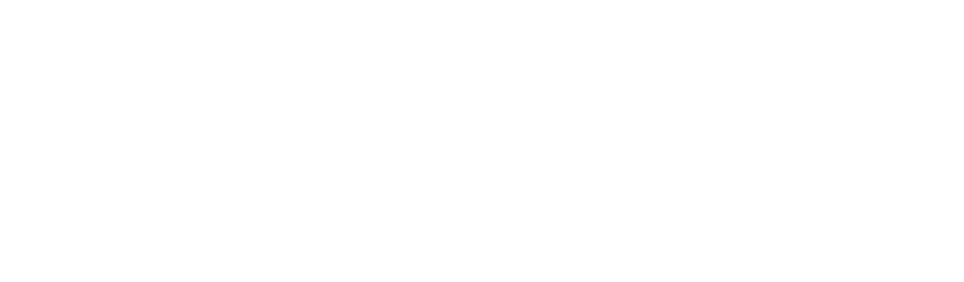 Snellink Digital